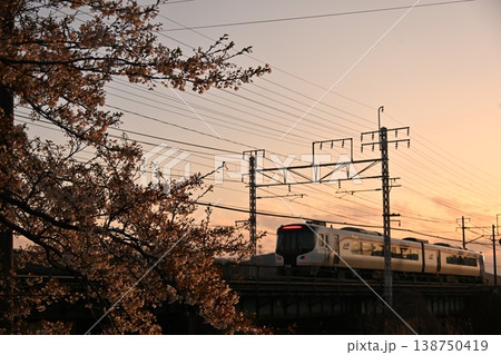 夕日に染まる桜と特急ひだ 夕日に染まる桜と特急ひだ 138750419