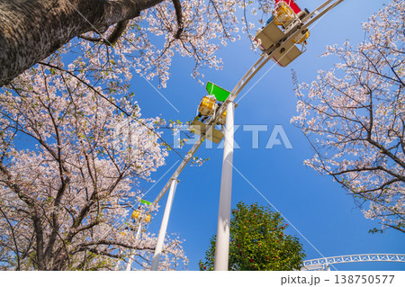 春のmeitoこどもランド・とだがわ、満開の桜とサイクルモノレール〈愛知県名古屋市〉 春のmeitoこどもランド・とだがわ、満開の桜とサイクルモノレール〈愛知県名古屋市〉 138750577