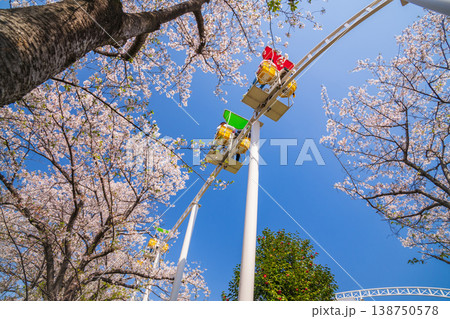 春のmeitoこどもランド・とだがわ、満開の桜とサイクルモノレール〈愛知県名古屋市〉 春のmeitoこどもランド・とだがわ、満開の桜とサイクルモノレール〈愛知県名古屋市〉 138750578