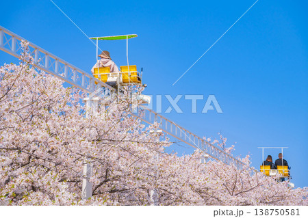 春のmeitoこどもランド・とだがわ、満開の桜とサイクルモノレール〈愛知県名古屋市〉 春のmeitoこどもランド・とだがわ、満開の桜とサイクルモノレール〈愛知県名古屋市〉 138750581