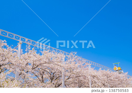 春のmeitoこどもランド・とだがわ、満開の桜とサイクルモノレール〈愛知県名古屋市〉 138750583