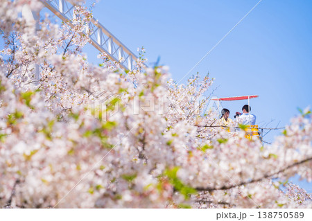 春のmeitoこどもランド・とだがわ、満開の桜とサイクルモノレール〈愛知県名古屋市〉 138750589
