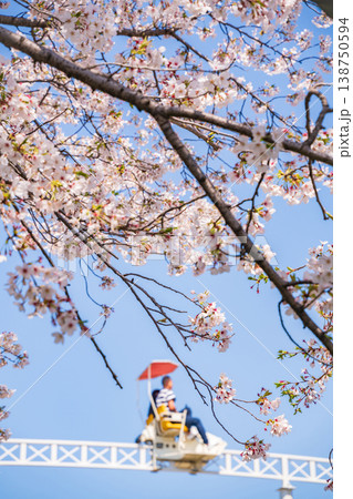 春のmeitoこどもランド・とだがわ、満開の桜とサイクルモノレール〈愛知県名古屋市〉 138750594