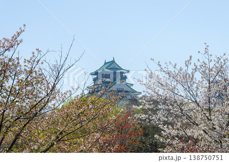 桜の季節に大阪城とOBP周辺を散策(2026年4月撮影) 桜の季節に大阪城とOBP周辺を散策(2026年4月撮影) 138750751