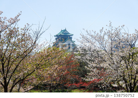 桜の季節に大阪城とOBP周辺を散策(2026年4月撮影) 桜の季節に大阪城とOBP周辺を散策(2026年4月撮影) 138750752