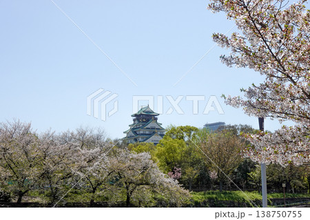 桜の季節に大阪城とOBP周辺を散策（2026年4月撮影） 138750755
