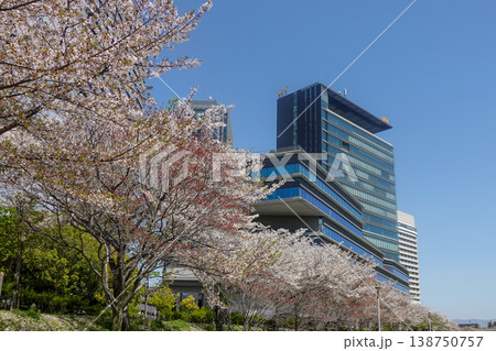 桜の季節に大阪城とOBP周辺を散策（2026年4月撮影） 138750757