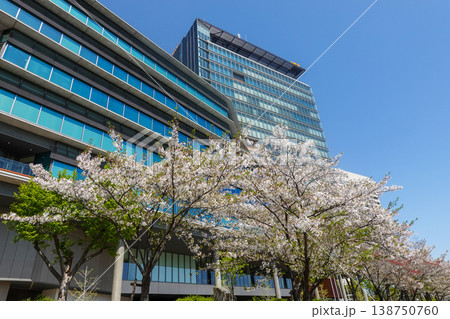 桜の季節に大阪城とOBP周辺を散策(2026年4月撮影) 桜の季節に大阪城とOBP周辺を散策(2026年4月撮影) 138750760