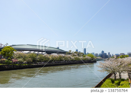 桜の季節に大阪城とOBP周辺を散策(2026年4月撮影) 桜の季節に大阪城とOBP周辺を散策(2026年4月撮影) 138750764