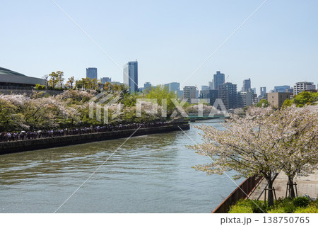 桜の季節に大阪城とOBP周辺を散策(2026年4月撮影) 桜の季節に大阪城とOBP周辺を散策(2026年4月撮影) 138750765