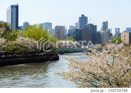 桜の季節に大阪城とOBP周辺を散策(2026年4月撮影) 桜の季節に大阪城とOBP周辺を散策(2026年4月撮影) 138750766