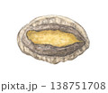 殻付きアワビ　水彩色鉛筆イラスト 138751708
