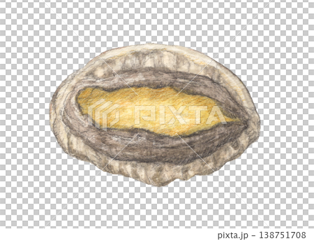 殻付きアワビ　水彩色鉛筆イラスト 138751708