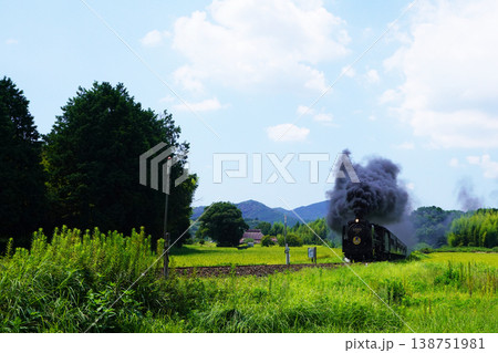SLやまぐち号　D51  1004 138751981