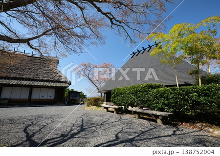 城山公園50991 城山公園50991 138752004