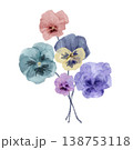 水彩パンジーの花束 138753118