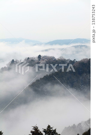 冬の雲海と備中松山城(天空の山城)25691 冬の雲海と備中松山城(天空の山城)25691 138753243