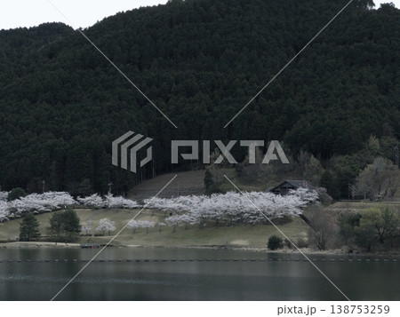 浅深に揺れ揺らいで 138753259