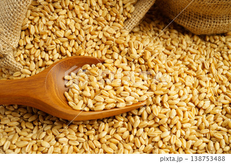 Wheat and grains ears agricultural, organic farm concept. Wheat and grains ears agricultural, organic farm concept. 138753488