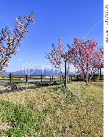 青い空と山と桜 青い空と山と桜 138753535