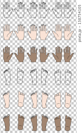 Diversity-friendly hand, foot, and body parts set for medical, cosmetic, and explanatory purposes; available in multiple colors and skin tones. Diversity-friendly hand, foot, and body parts set for medical, cosmetic, and explanatory purposes; available in multiple colors and skin tones. 138754105