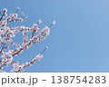 青空に伸びる桜の枝と花 ミニマルな春背景 138754283