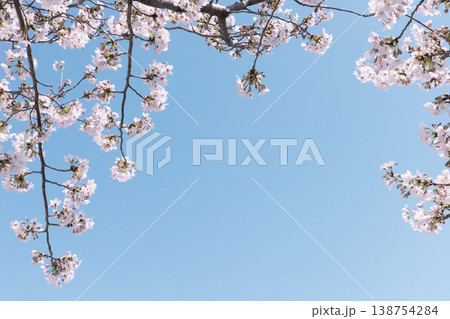 桜のフレームと青空 春の背景素材 コピースペース 138754284