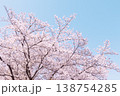 柔らかな光に包まれた満開の桜 春の優しい風景 138754285