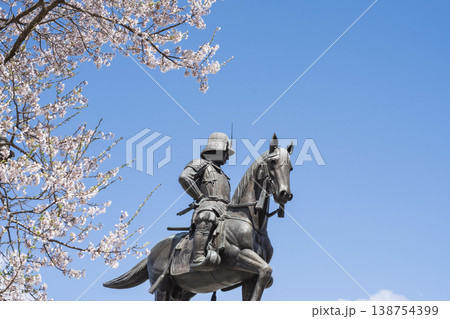 伊達政宗騎馬像と桜 伊達政宗騎馬像と桜 138754399