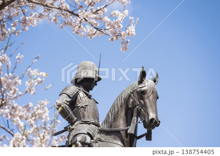 伊達政宗騎馬像と桜 伊達政宗騎馬像と桜 138754405