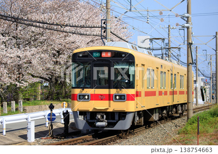 大石ヶ浦公園の桜と7050形電車（西鉄） 138754663