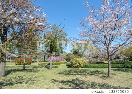 東京都八王子市長房町、東浅川町の都立陵南公園 138755080