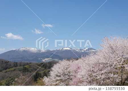 青空と安達太良山と桜 青空と安達太良山と桜 138755530