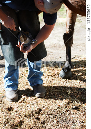 Farrier man, horse foot and outdoor with hammer for help, race and speed with tools, care and shoes. Vet person, equine doctor and healthcare for animal hooves, pet and safety at ranch in countryside Farrier man, horse foot and outdoor with hammer for help, race and speed with tools, care and shoes. Vet person, equine doctor and healthcare for animal hooves, pet and safety at ranch in countryside 138755670