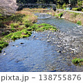 清流と桜並木 138755876
