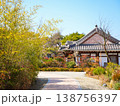 Peaceful Pathway Through Bamboo Forest and Traditional Korean Hanok House under Blue Sky 138756397
