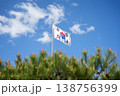 South Korean National Flag (Taegeukgi) Waving in the Wind with Pine Trees under Blue Sky 138756399