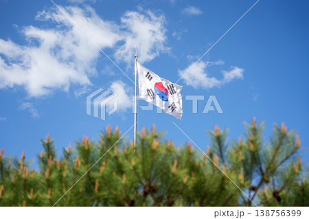 South Korean National Flag (Taegeukgi) Waving in the Wind with Pine Trees under Blue Sky 138756399