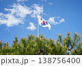 South Korean National Flag (Taegeukgi) Waving in the Wind with Pine Trees under Blue Sky 138756400