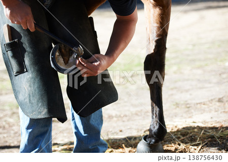 Farrier man, horse foot and farm with hammer for help, race and speed with tools, care and support. Vet team, equine doctor and healthcare for animal hooves, pet and safety at ranch in countryside 138756430