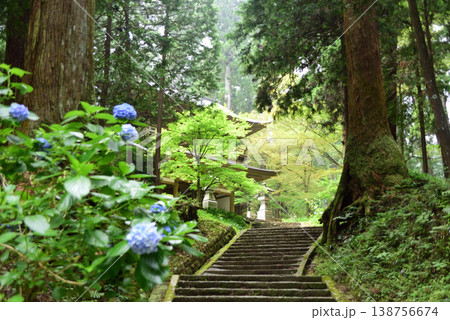 大雄山最乗寺　三門 138756674