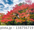 移り変わる紅葉 138756719