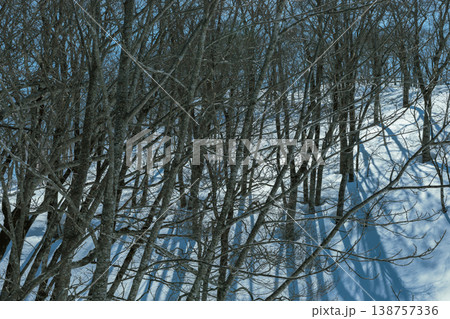 Ski resort, Hakuba Village, Nagano Prefecture 138757336