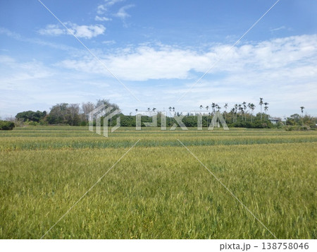 景色 風景 農耕 138758046