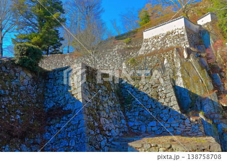 【岡山県】冬の備中松山城（現存天守） 138758708