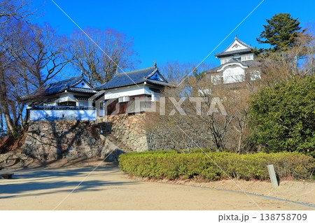 【岡山県】冬の備中松山城（現存天守） 138758709