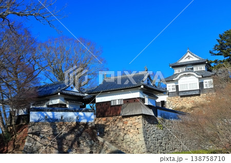 【岡山県】冬の備中松山城（現存天守） 138758710