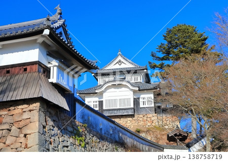 【岡山県】冬の備中松山城（現存天守） 138758719