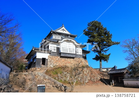 【岡山県】冬の備中松山城（現存天守） 138758721