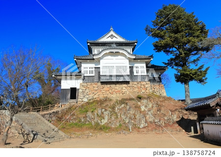 【岡山県】冬の備中松山城（現存天守） 138758724